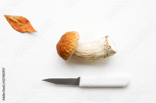 Autumn fresh boletus mushroom and knife on a table, close up.