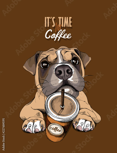 Portrait of a Boxer Dog with a coffee to go on a brown background. Vector illustration.