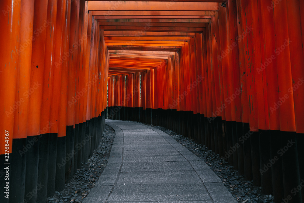Fototapeta premium Pathway orii gates at Fushimi Inari Shrine at night and rain Kyoto, Japan.