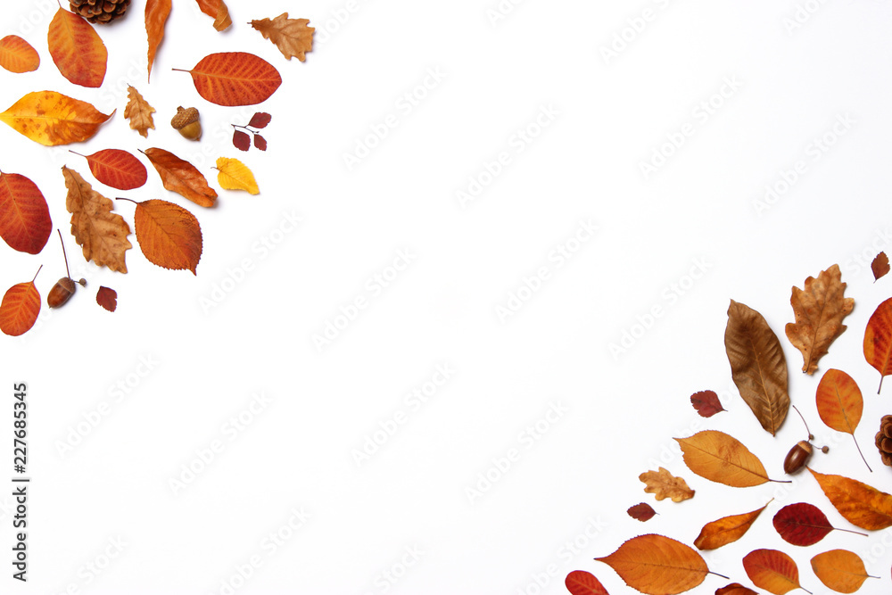 Fototapeta autumn composition of leaves on a white background top view. Place for text, minimalism, insta, flatlay