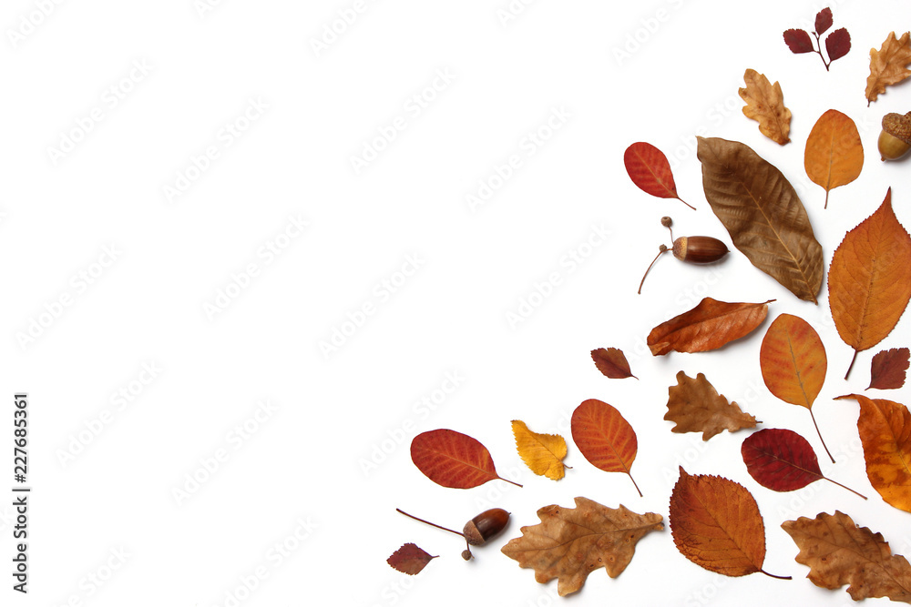 Fototapeta autumn composition of leaves on a white background top view. Place for text, minimalism, insta, flatlay