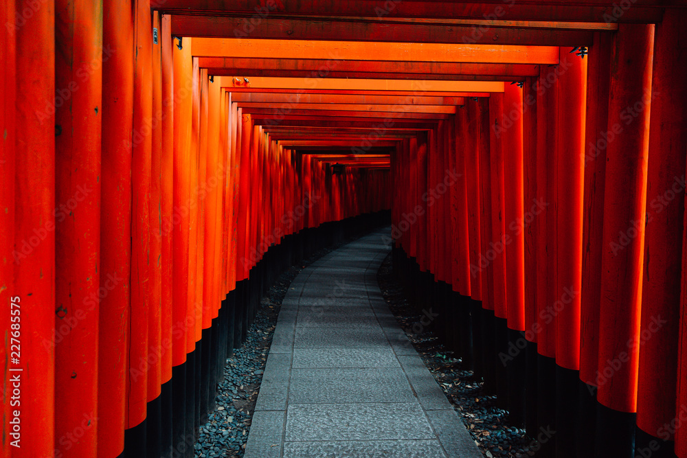 Fototapeta premium Pathway orii gates at Fushimi Inari Shrine at night and rain Kyoto, Japan.