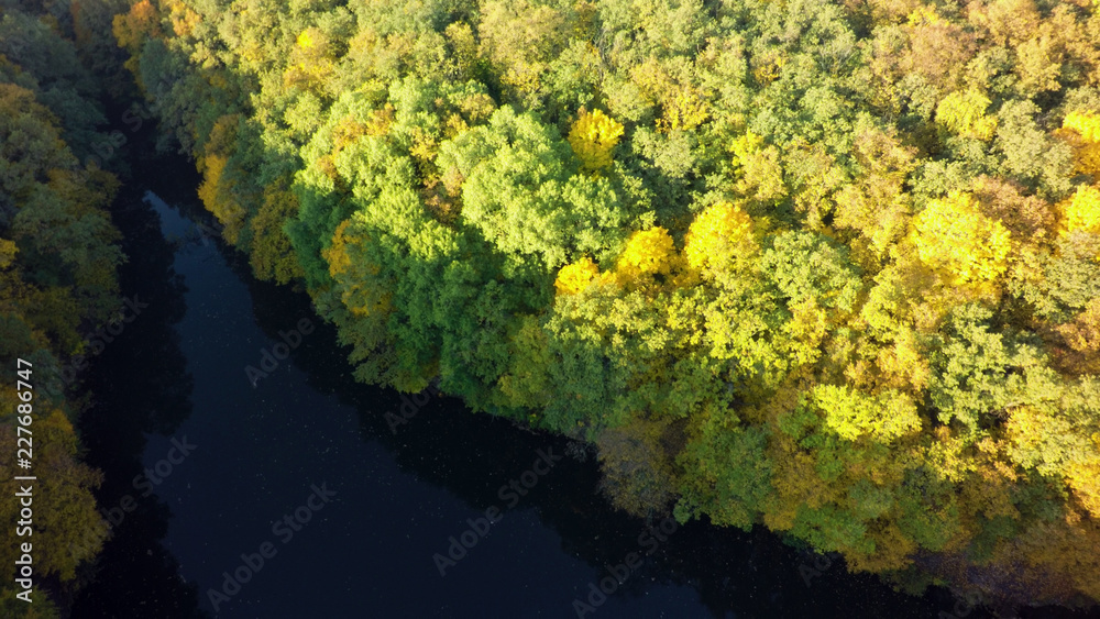 Aerial view on the lake and autumn tree forest Aerial view on the lake and autumn tree forest