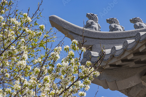 Spring in a Buddhist temple photo