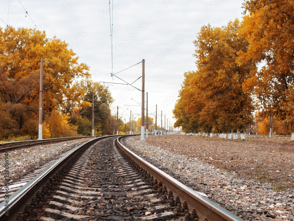Beautiful autumn trees near the railway. Autumn travel Beautiful autumn trees near the railway. Autumn travel