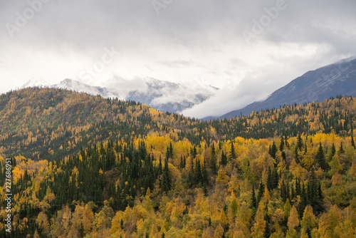 autumn colors in the Alaskan mountains