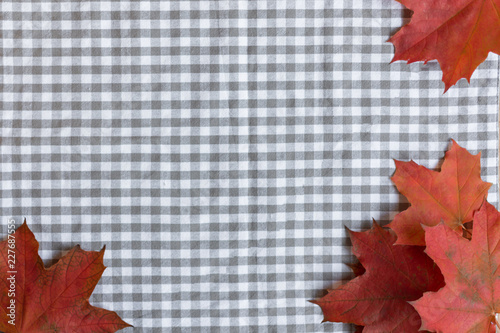 Red maple leaves background top view. Mockup for design. Copy space. 