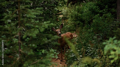 Chance Encounter