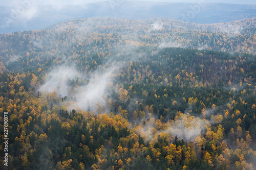 Autumn forest in the fog, russian nature.