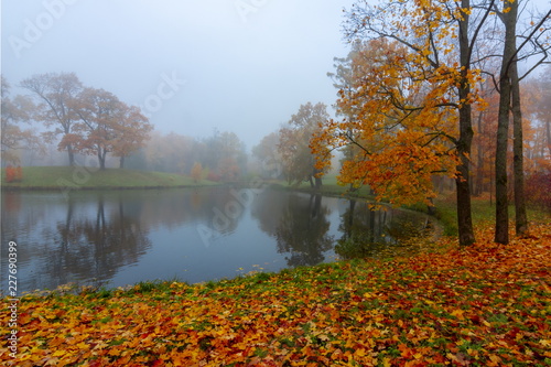 Morning autumn fog in Alexander park in Tsarskoe Selo (Pushkin), St. Petersburg, Russia