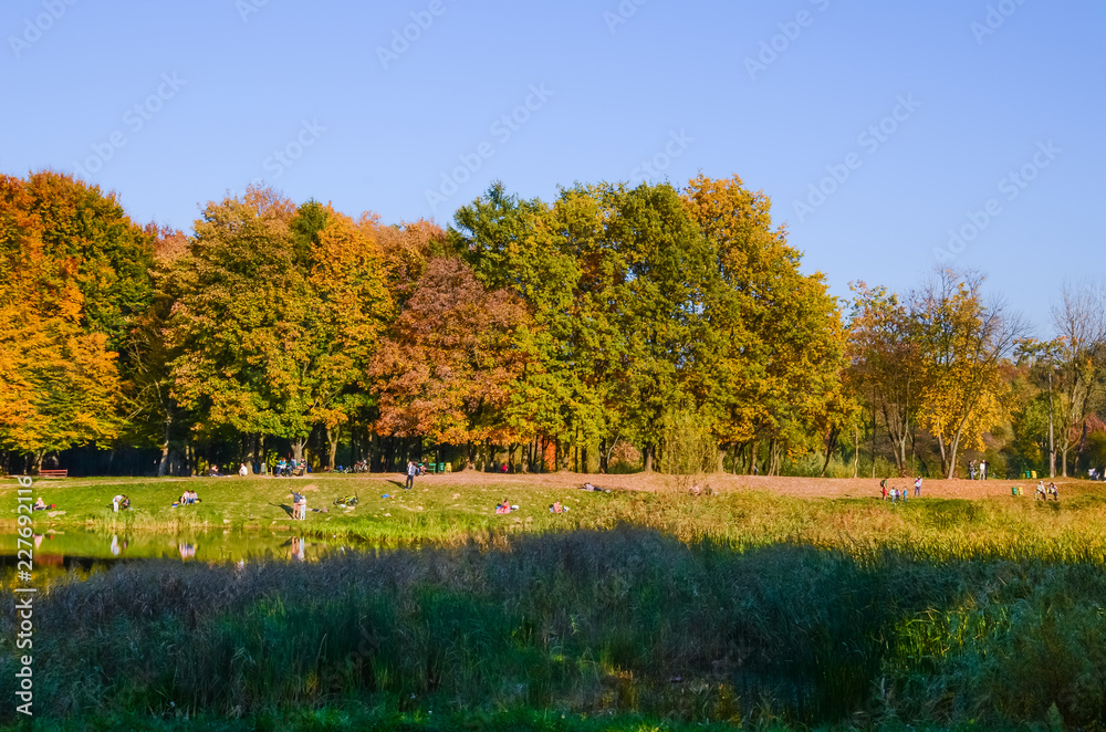City park in the sunny day in the autumn season