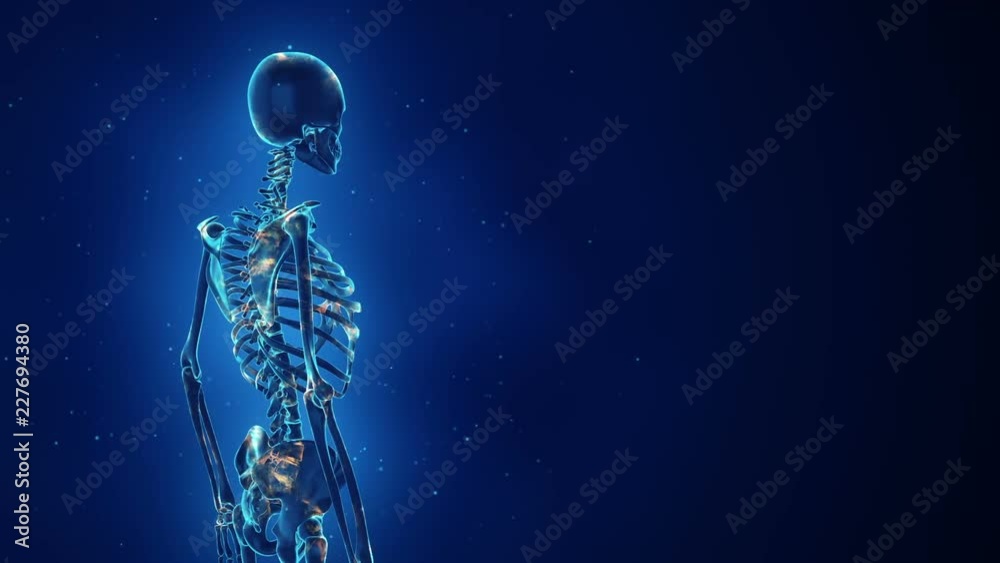 Abstract background with animation of rotation realistic Human skeleton ...