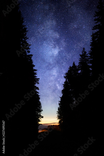 Milky Way in night sky. Forest silhouette in the foreground.