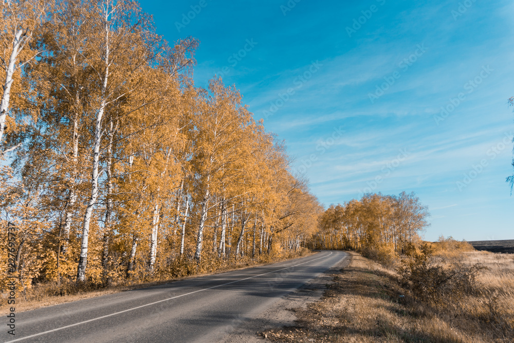 autumn golden trees and country asphalt road autumn golden trees and country asphalt road