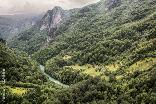 Mountain river Tara and forest in Montenegro