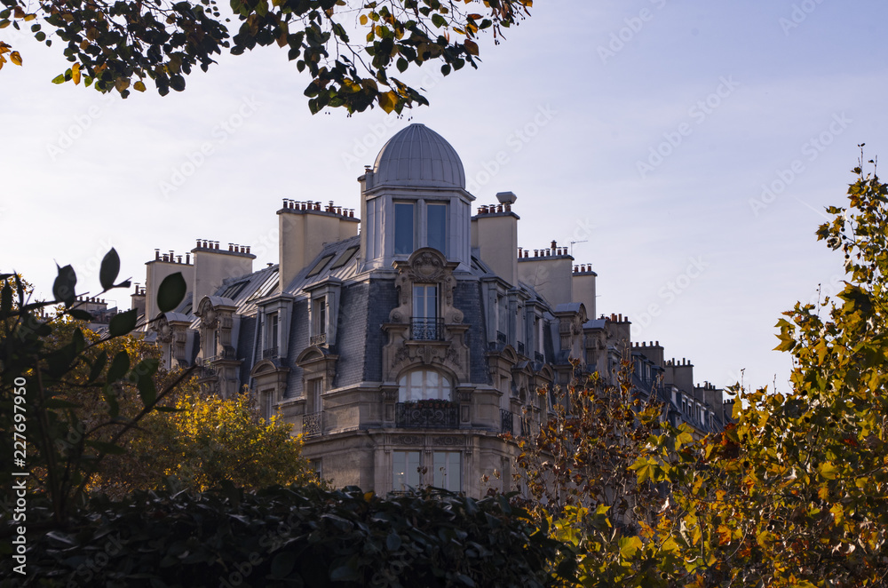 Roofs, facades, balconies and chimneys of buildings in Paris in autumn