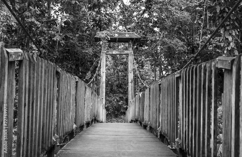 Wooden Bridge