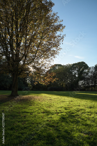 Der Herbst ist da