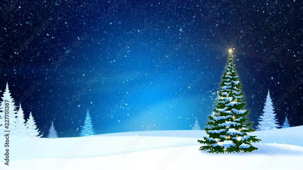 Snowfall, snow and fir trees covered with hoarfrost and snow in night forest in winter. Looped motion graphic. Snowfall, snow and fir trees covered with hoarfrost and snow in night forest in winter. Looped motion graphic.