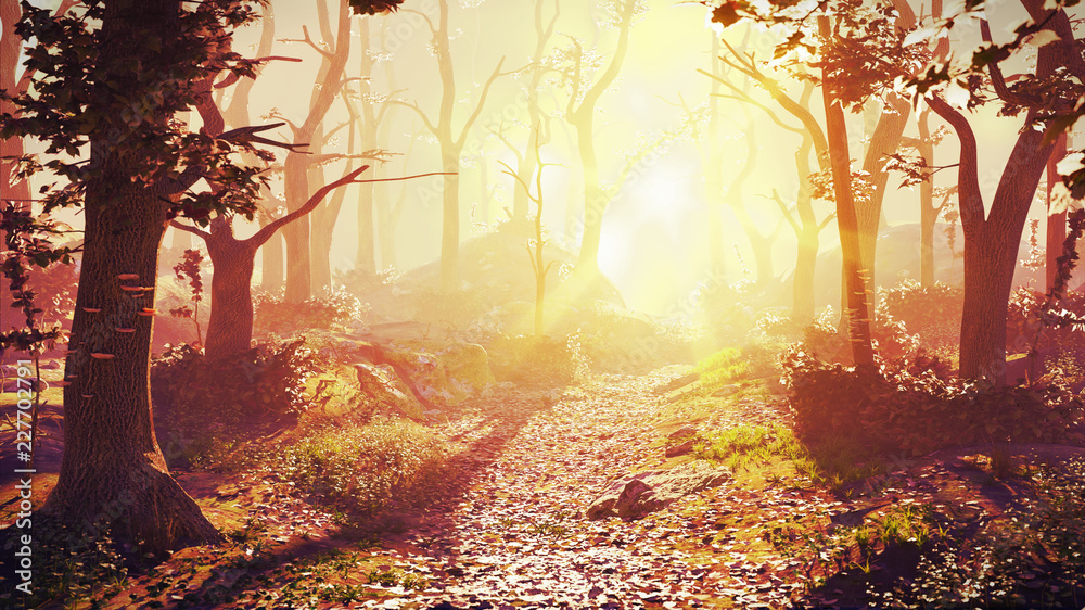 magical forest at sunrise, sunshine in beautiful fantasy landscape