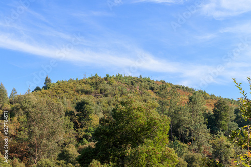 Landscape montain