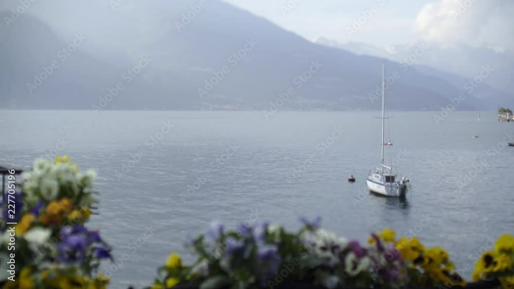 Blooming flowerbed on embankment. View through blurred flowers on big lake with parking sailboat and mountain at background. Como, Italy Blooming flowerbed on embankment. View through blurred flowers on big lake with parking sailboat and mountain at background. Como, Italy