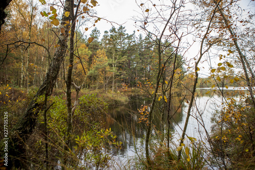 Autumn in Sweden © Marco Rimola