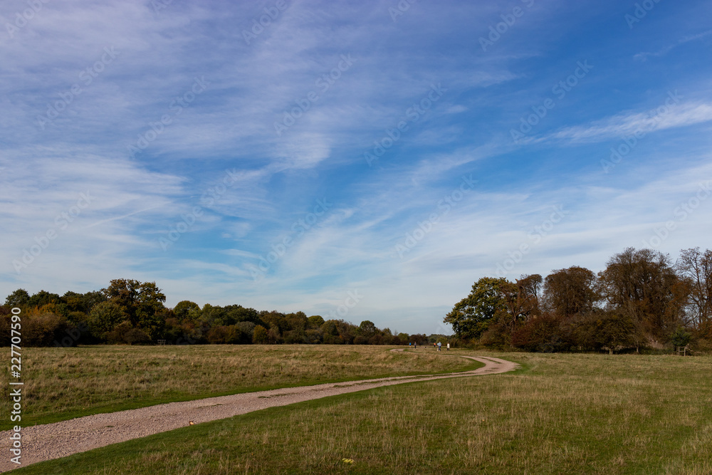 walk in Hatfield forest