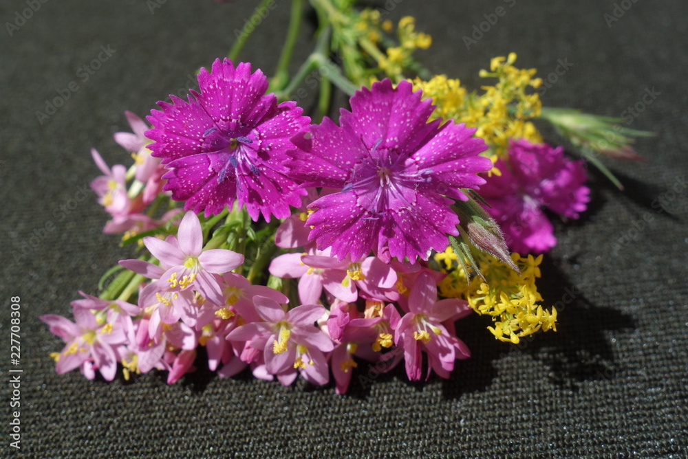 Wild flowers bouquet Wild flowers bouquet