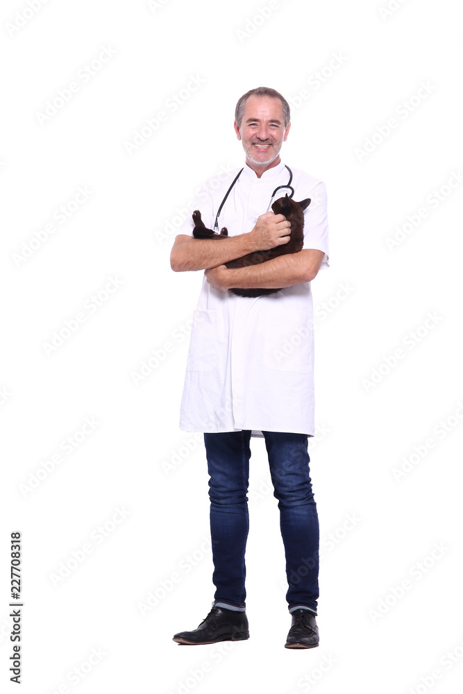 Veterinarian with a cat Veterinarian with a cat
