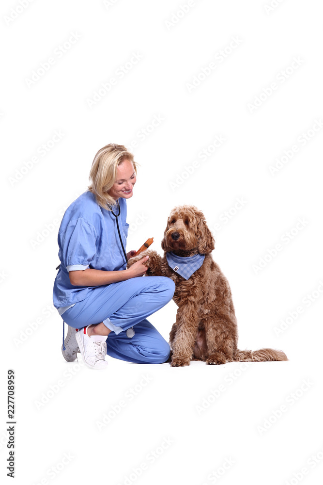 Female veterinarian with a dog