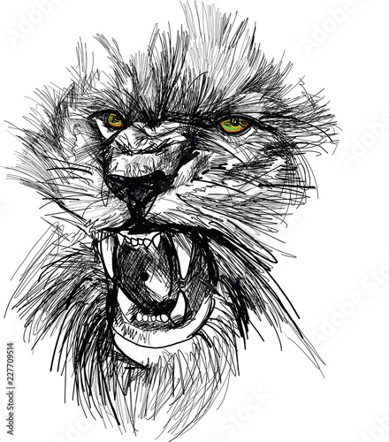 Fototapeta Naklejka Na Ścianę i Meble -  Sketch of lion head