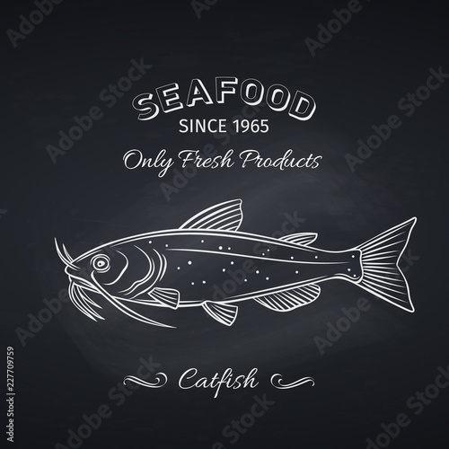 catfish hand drawn icon