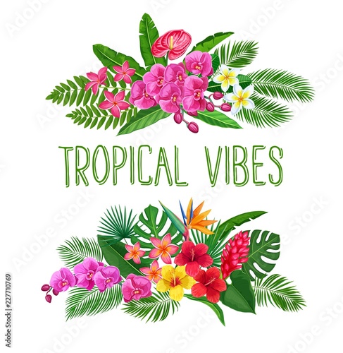 Tropical banners, exotic flower and leaves