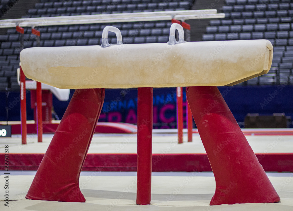 A pommel horse in a gymnastic arena 