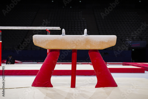 A pommel horse in a gymnastic arena 