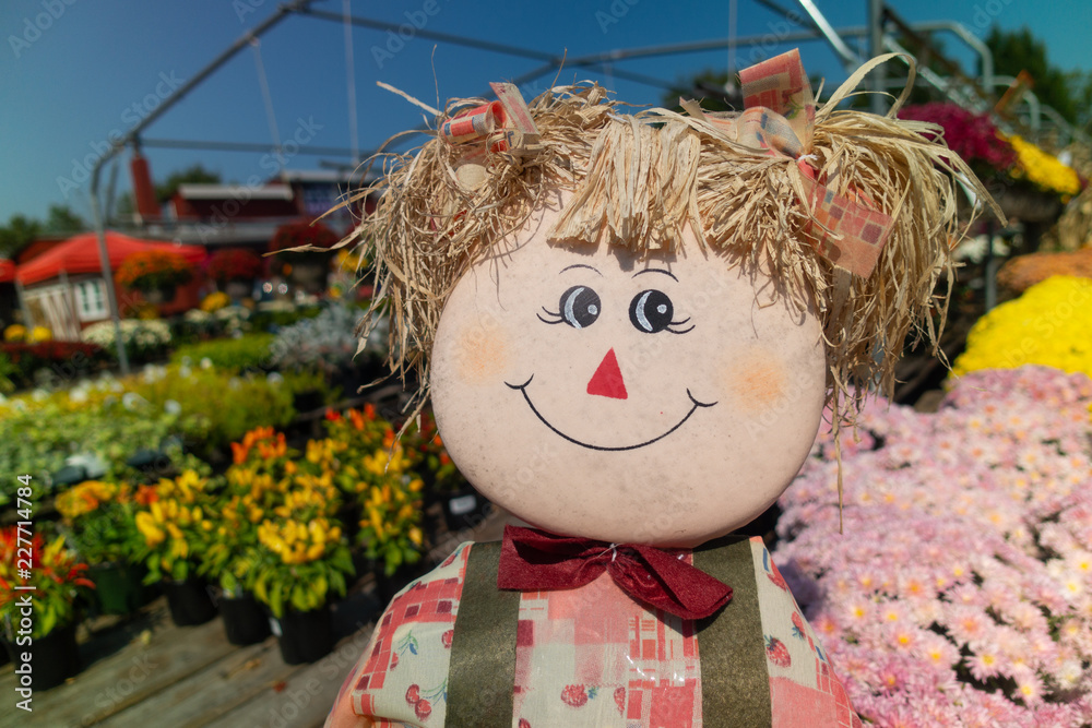 Fall Autumn Funny Scarecrow Smiling Doll with tails with bows, Close up view and blurred flowers farm market background. Fall Autumn Funny Scarecrow Smiling Doll with tails with bows, Close up view and blurred flowers farm market background.