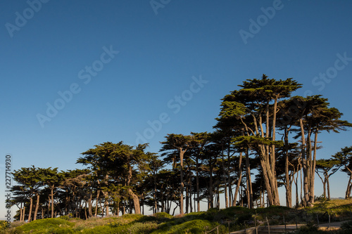 San Francisco