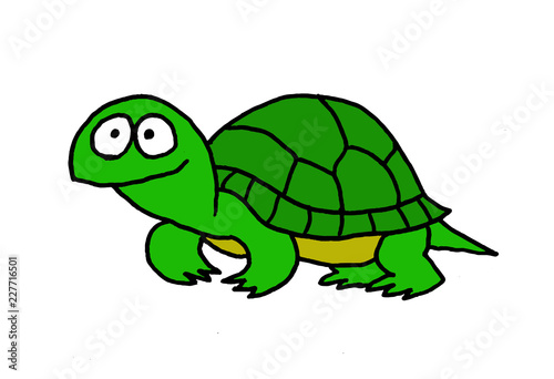 Funny illustration of a turtle