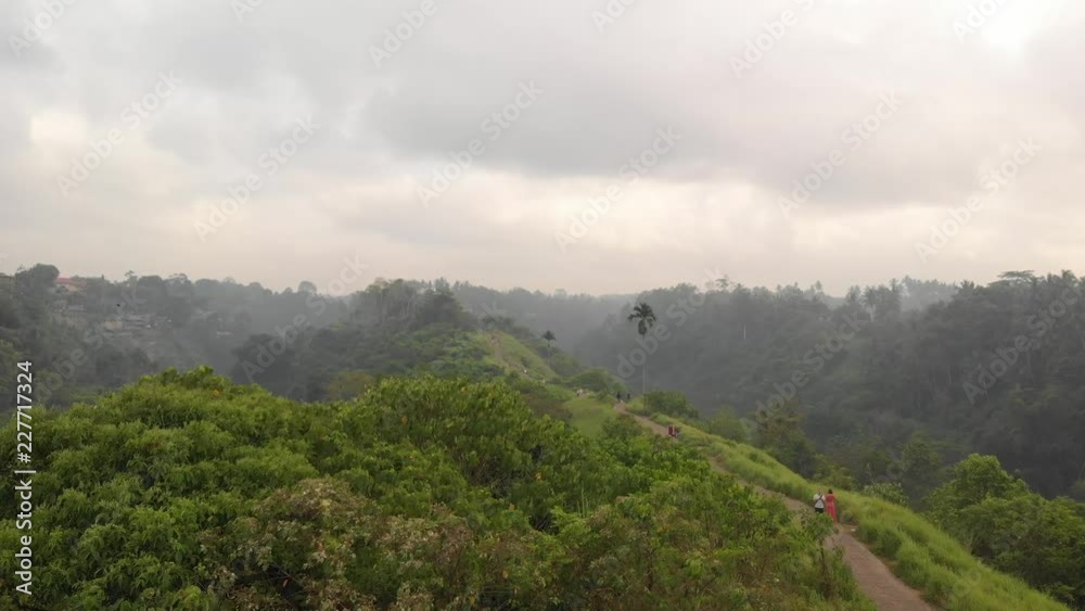 4K aerial view of Campuhan Ridge path, flying over Campuhan ridge, Bali island. Indonesia. 4K aerial view of Campuhan Ridge path, flying over Campuhan ridge, Bali island. Indonesia.