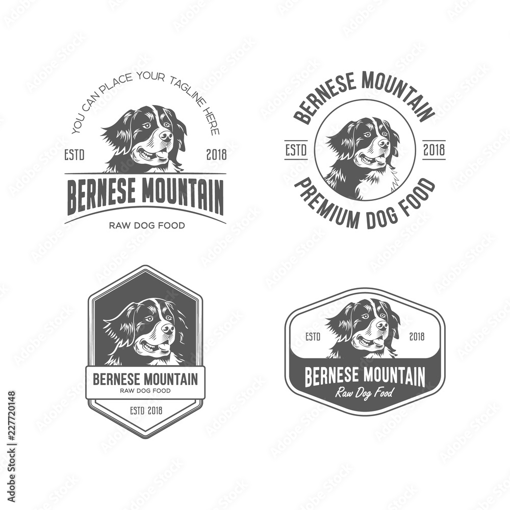 Fototapeta premium Bernese Mountain Dog Food Logo Set