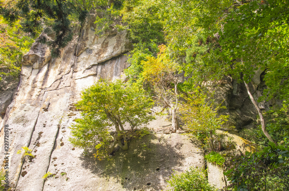 山の岸壁 山の岸壁