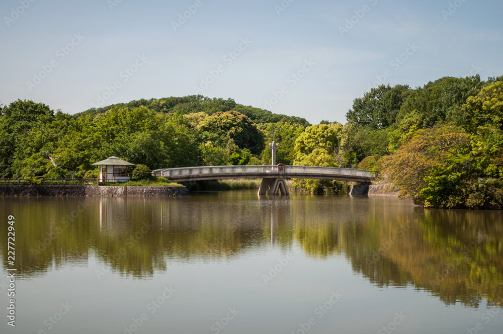 Fototapeta premium lake in the park