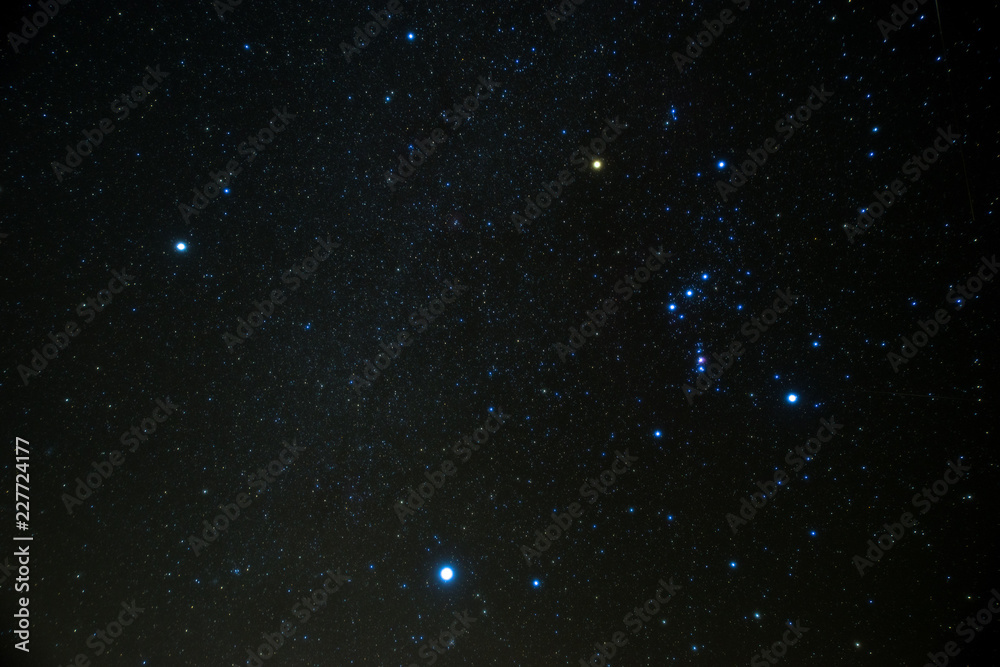 Obraz premium 冬の大三角とオリオン座