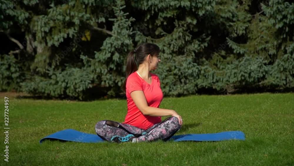 Woman Practicing Yoga in the Park Woman Practicing Yoga in the Park