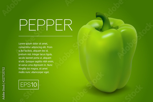 Minimalistic banner with a realistic pepper on a green background. 3D paprika illustration. Frame for title and text. Template for design of a flyer, banner or postcard in the minimal style.