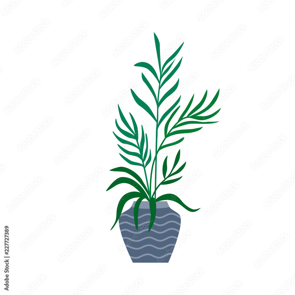 Fototapeta premium Exotic tropical houseplant in a flower pot. Flat colorful vector illustration.
