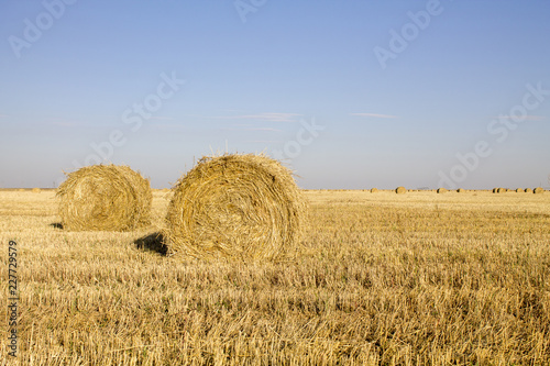 Straw bails waiting for collection in a field