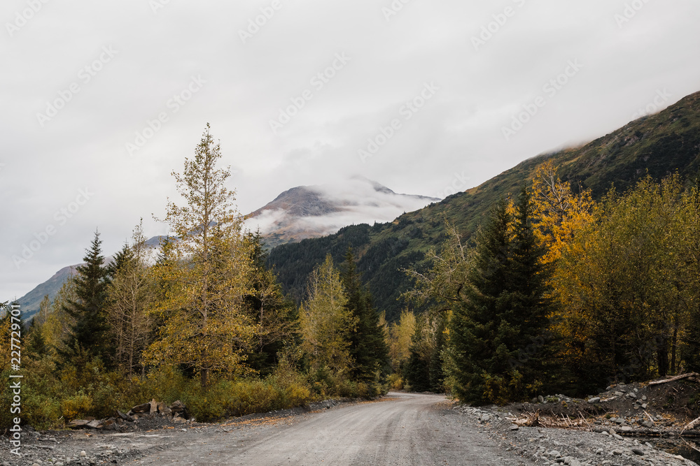 empty road in the mountains on cloudy autumn day