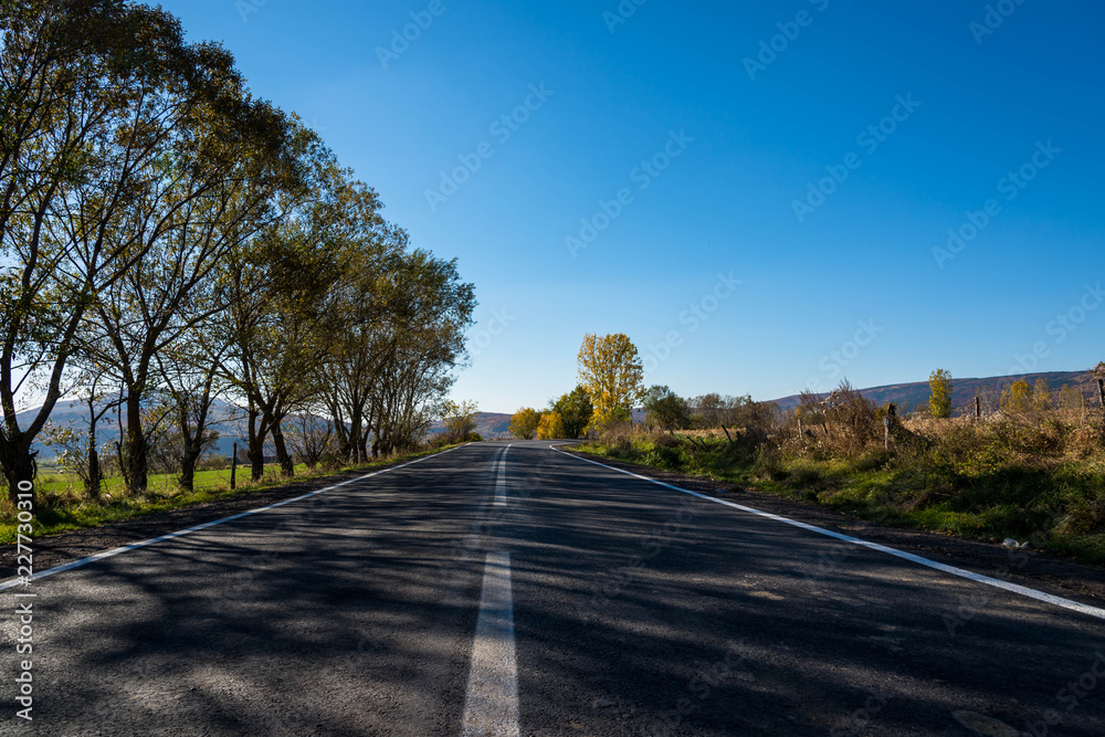 Empty asphalt road at autumn, beech woods at roadside, beautiful blue sky, focus on the asphalt.